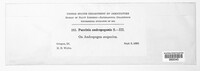 Image Associated With the Occurence